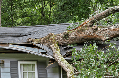 Tree-on-top-of-damaged-roof-1