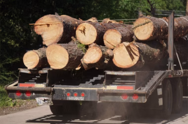 tree-hauling