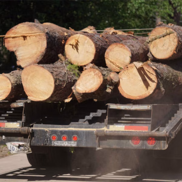 tree-hauling